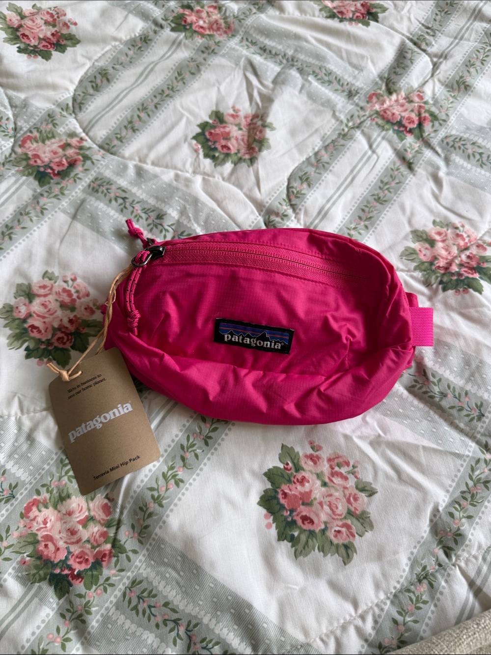 Patagonia Terravia Mini Hip Pack in Pink NWT